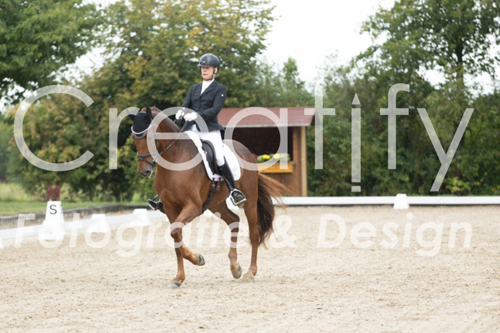 IMG_4525 | Creatify Fotografie