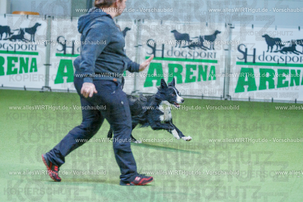 @allesWIRTHgut_Tierfotografie - www.allesWIRTHgut.de - 2604260809-7R506729 | Professionelle Tierfotografie in Mönchengladbach von Daniel Wirth (allesWIRTHgut). Liebevolle & natürliche Bilder von Hunden & Katzen für unvergessliche Erinnerungen.