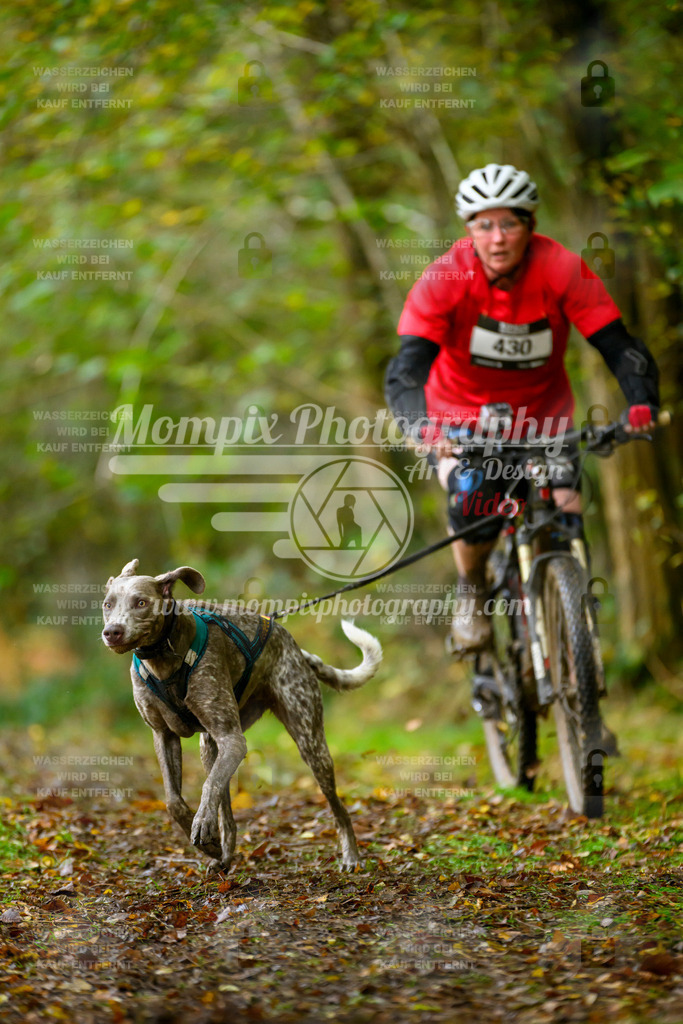 MompixPhotography_20TSB_E1_Bike-74 | PayLife