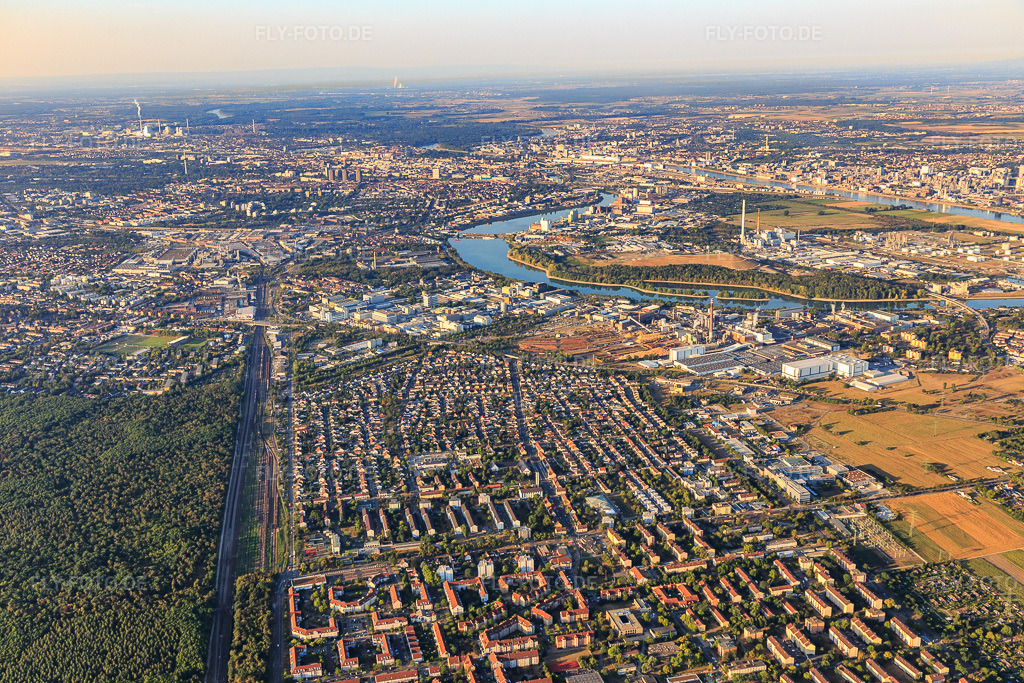 Luftbild: Stadtansicht von Norden im Ortsteil Schönau in Mannheim im Bundesland Baden-Württemberg in Deutschland. Foto: IMG_109480.jpg vom 31.07.2018 durch Werner Riehm/FLY-FOTO.de