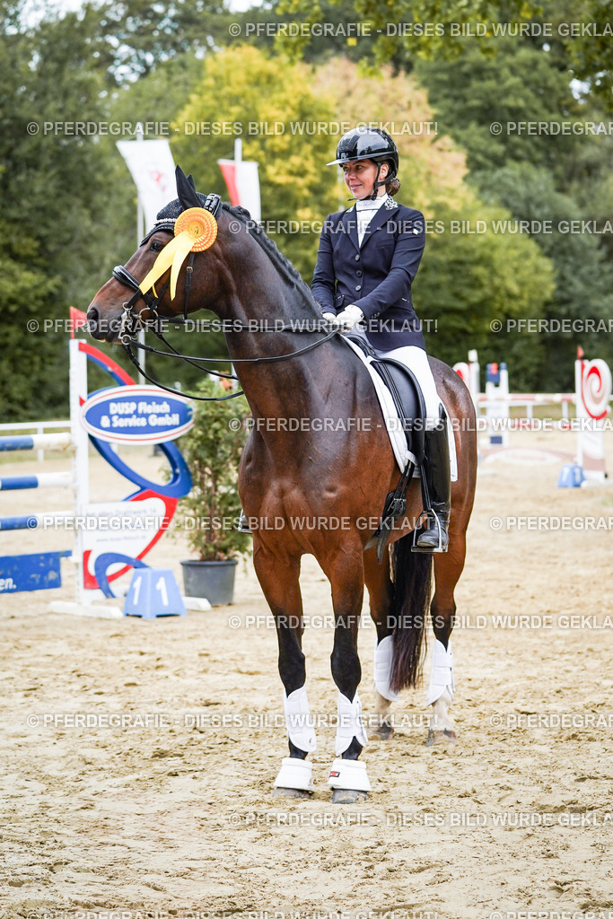 DSC02536 | Pferdegrafie