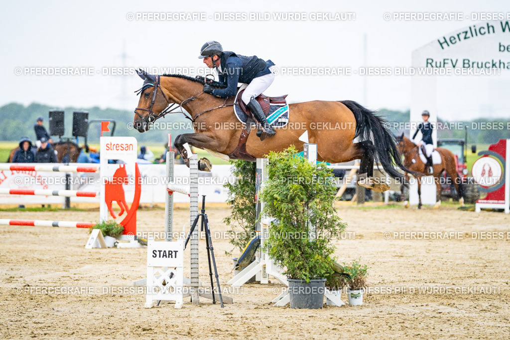 DSC08640 | Pferdegrafie