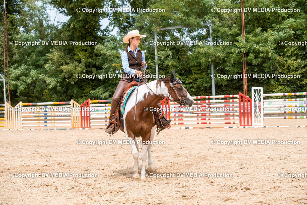 EWP_6086 | dv-media-shop - Realisiert mit Pictrs.com