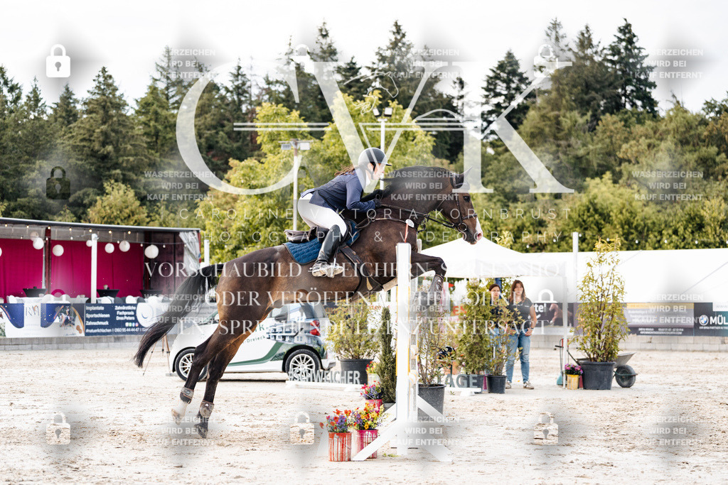 CK903802 | Turnierfotografie Pferdefotografie Trier Rheinland-Pfalz Pferdesport Reitsport Tierfotografie Sportfotografie Pferdevideo Pferdevideografie Equestrianvideography equestrianphotography  - Realisiert mit Pictrs.com