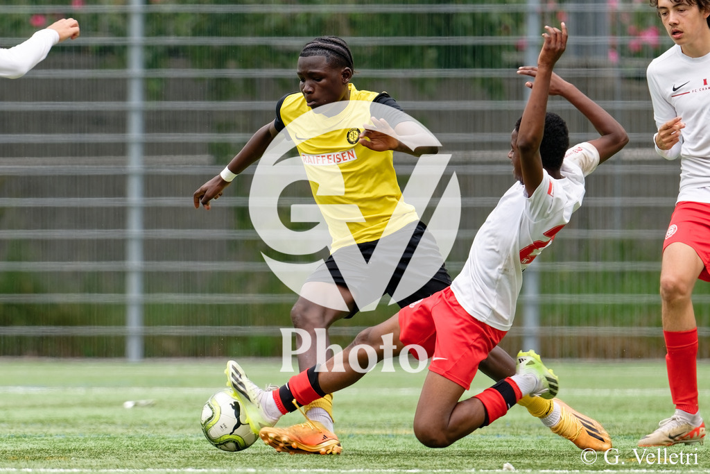 DSC_7036 | Velletri Photo