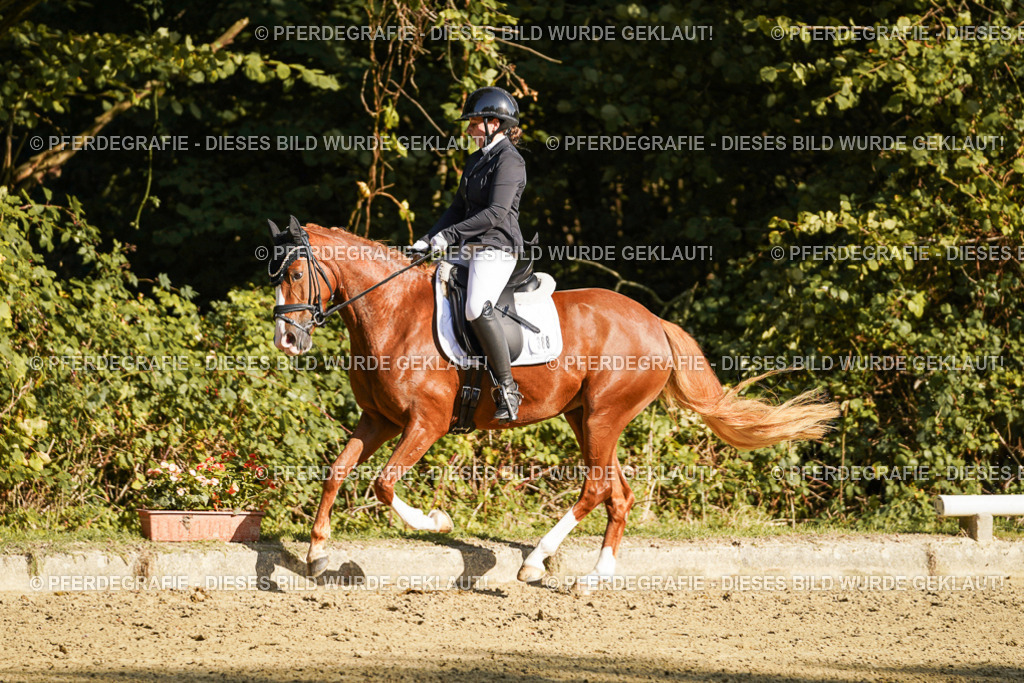 DSC06259 | Pferdegrafie