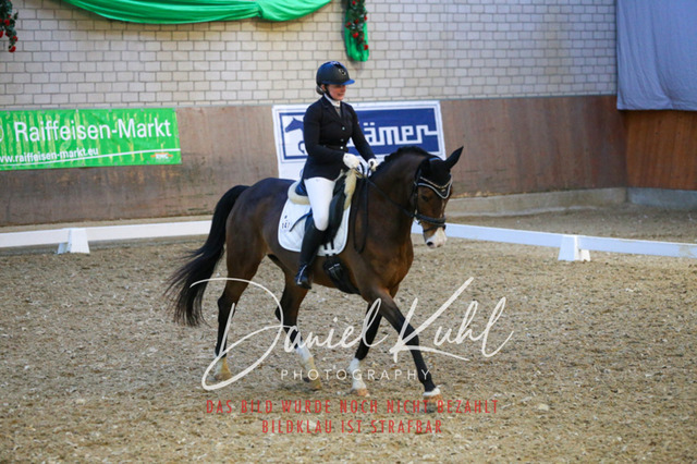IMG_3016 | Turnierfotos kaufen im Webshop von Daniel Kuhl Photography – entdecke professionelle Reitsportfotos aus Turnieren & Events. Hochwertige Turnierbilder online bestellen & sichern. Jetzt Fotos von Reitsportturnieren kaufen!