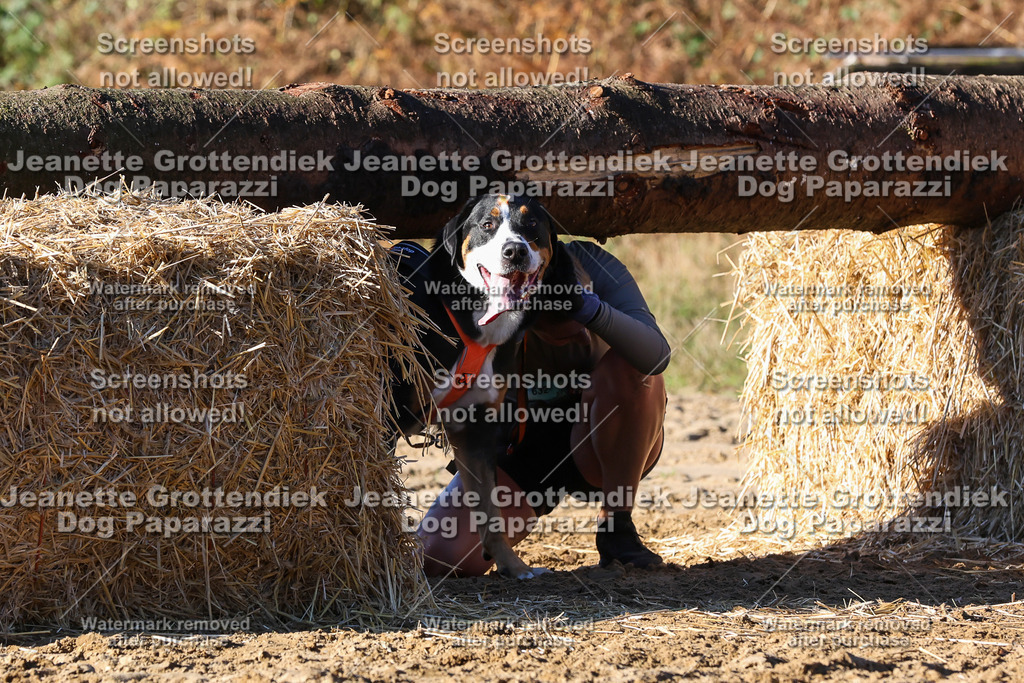 Dog Paparazzi - Strongdog 10-25-1793 | Dog Paparazzi Jeanette Grottendiek Fotografie & Videografie - Realisiert mit Pictrs.com