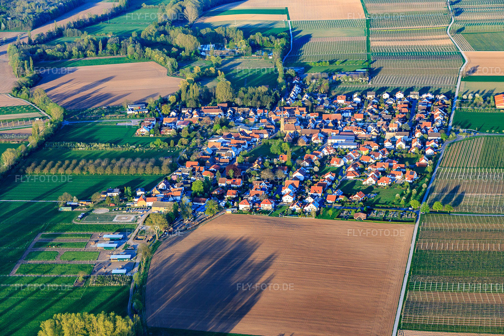Luftbild: Dorfansicht am Modenbach von Westen in Großfischlingen im Bundesland Rheinland-Pfalz in Deutschland. Foto: IMG_077477.jpg vom 21.04.2015 durch Werner Riehm/FLY-FOTO.de