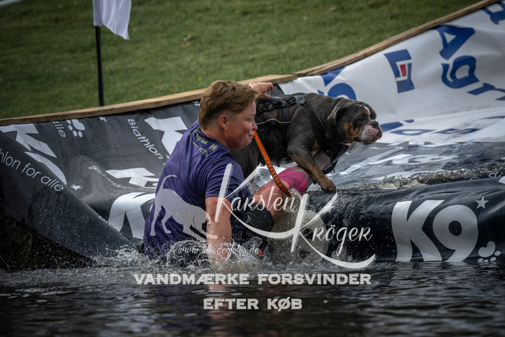 1623_ZZ98095 | kk-dogfotos