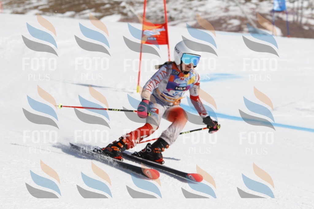 _U3G9468 | holidayphoto