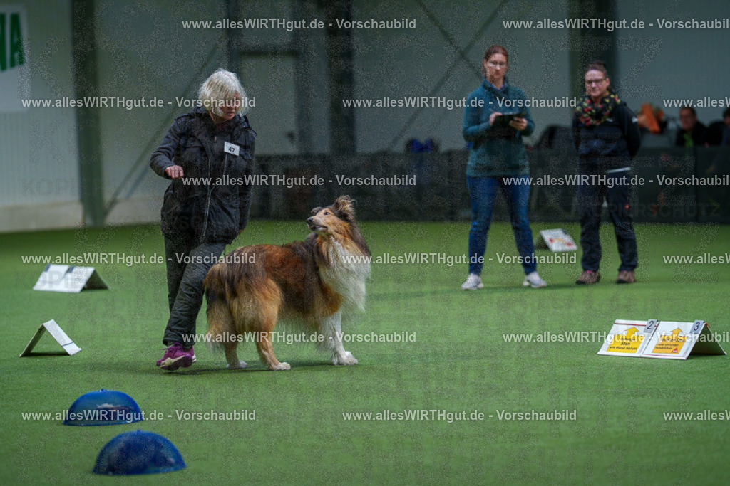 7R506252 | Professionelle Tierfotografie in Mönchengladbach von Daniel Wirth (allesWIRTHgut). Liebevolle & natürliche Bilder von Hunden & Katzen für unvergessliche Erinnerungen.