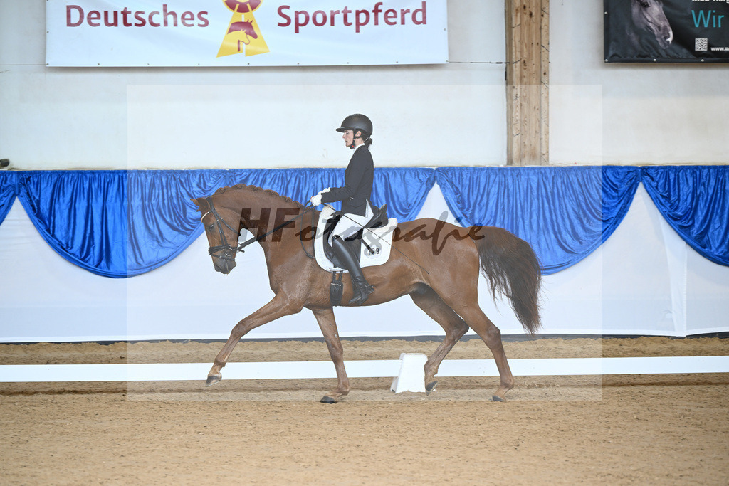 Kat-Nr. 139 Valandero_Kroeber_14242105 | hf-fotografie - Realizzato con Pictrs.com
