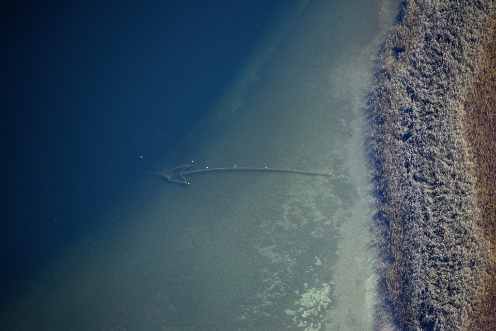 dr__0093497.jpg | CHIEMSEE 01.10.2021 Uferbereiche der See- Insel Fischereinetz im See in Chiemsee im Bundesland Bayern, Deutschland. // Lake Island Fischereinetz in Chiemsee in the state Bavaria, Germany. Foto: Daniel Reiter
