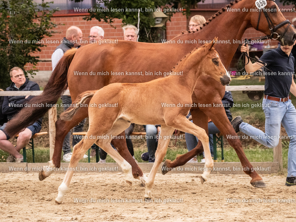 A10I5687 | photographylinaismer - Realisiert mit Pictrs.com