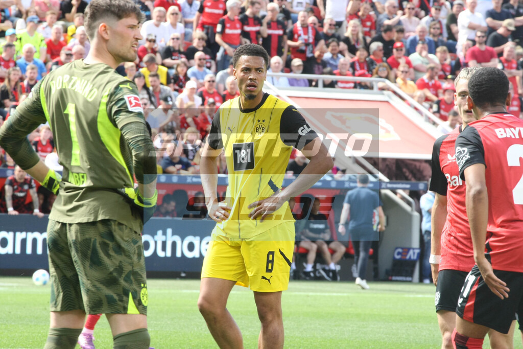 Bayer 04 Leverkusen - Borussia Dortmund | Felix Nmecha - © Sportfoto-Sale (MK) - Realisiert mit Pictrs.com