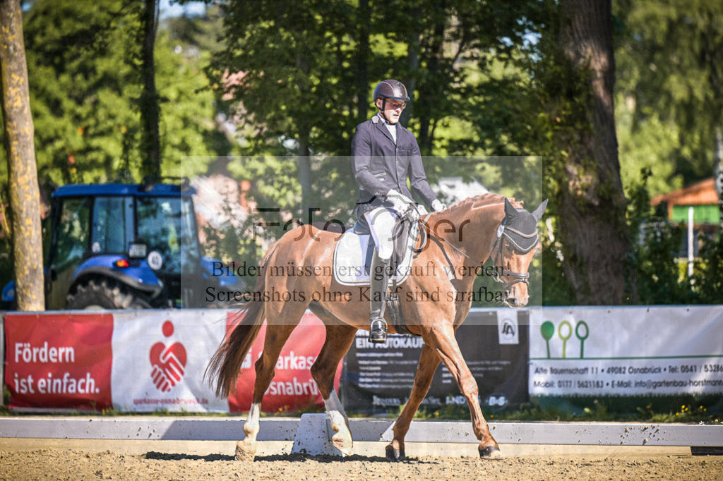DOS_7020 | Entdecke hochwertige Reitturnierfotos von Foto Oger. Professionell, emotional und authentisch – jetzt Lieblingsmomente im Shop bestellen.Deutschlandweite Turnierfotografie. - Realisiert mit Pictrs.com