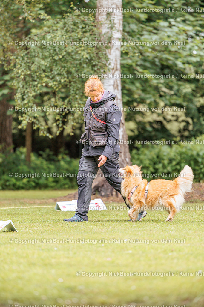 RO-Blumenthal-2026-Nickbest-Hundefotografie-1519 | Dein Hund! Dein Moment! Deine Erinnerungen! Hundefotografie in Bremen Blumenthal. Ich fange die besonderen Momente deines Vierbeiners ein – ob Indoor mit Blitzanlage oder in der freien Natur. Sicher dir dein Moment und dein Termin für eure Erinnerungen.