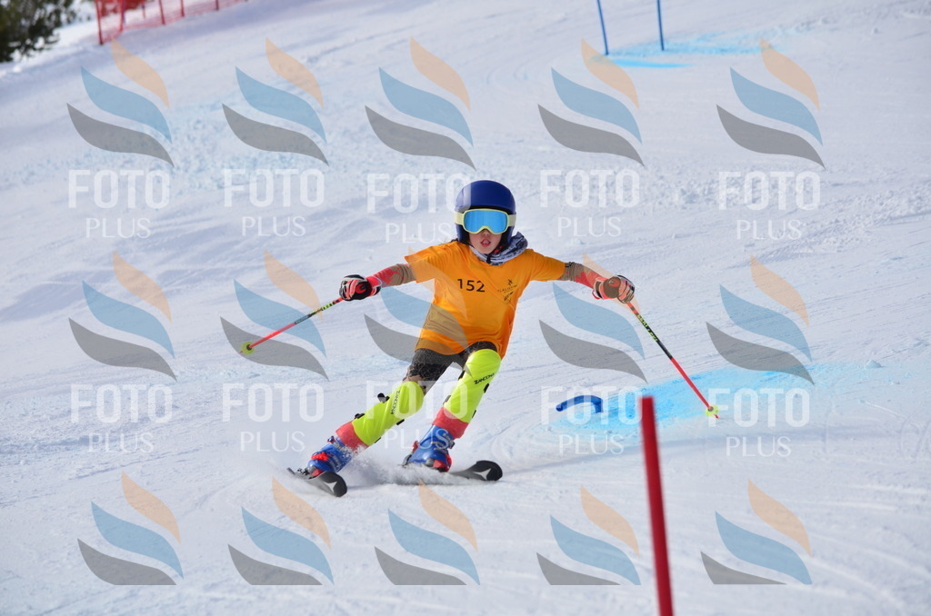 C7774 | holidayphoto