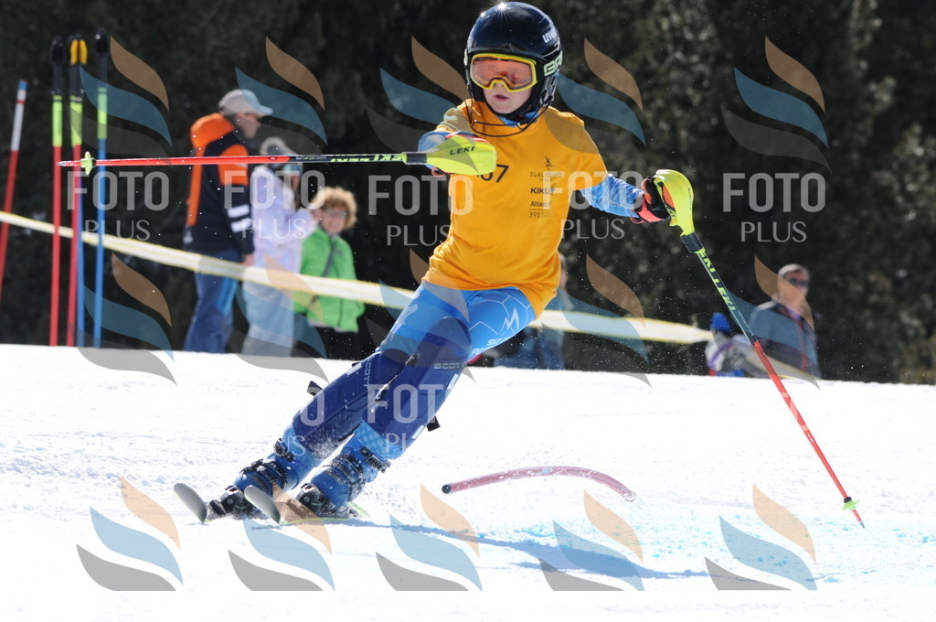 C8961 | holidayphoto