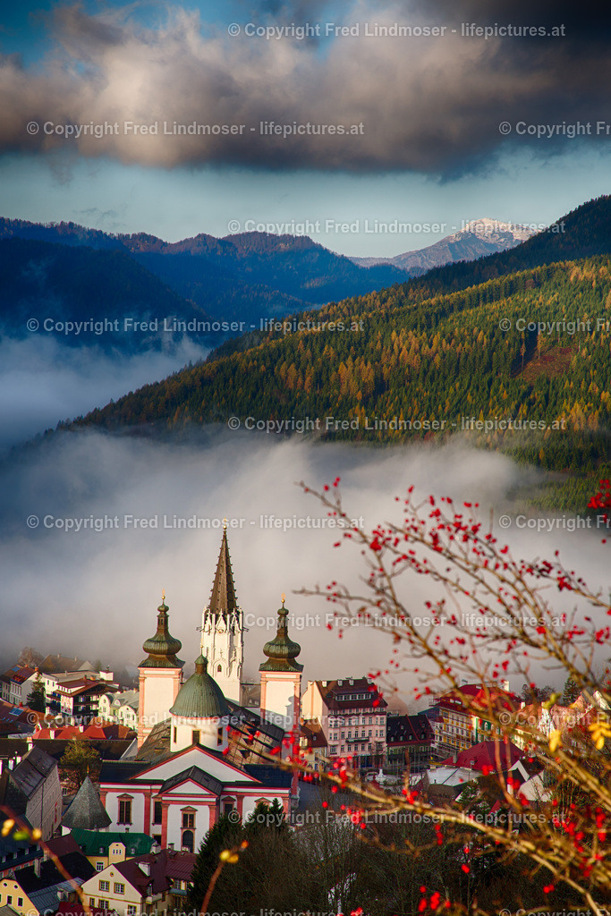 IMG_2545_HDR | Fotos und Fotoprodukte - Realisiert mit Pictrs.com