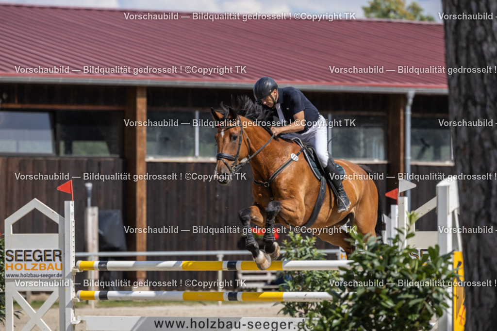 _D5A1395 | Emotionale Pferde- & People-Fotografie rund um Heidelberg, Leimen & Umgebung. Natürliche Fotos von Pferd, Mensch & Familie. Jetzt Termin sichern!