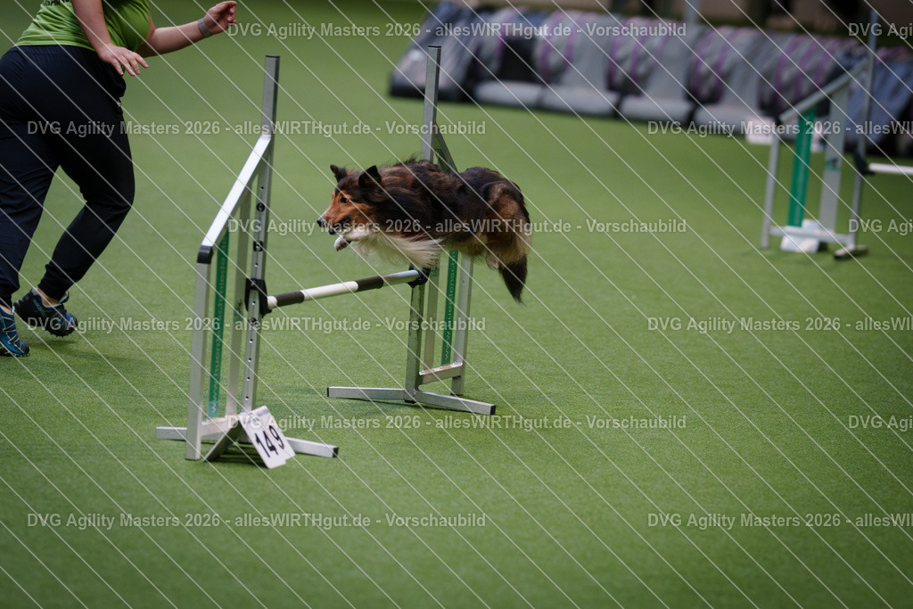 allesWIRTHgut_Tierfotografie-DVG_Agility_Masters_2026-08_34-7R500842 | Professionelle Tierfotografie in Mönchengladbach von Daniel Wirth (allesWIRTHgut). Liebevolle & natürliche Bilder von Hunden & Katzen für unvergessliche Erinnerungen.