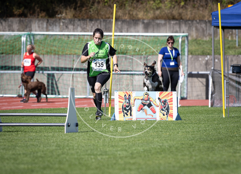 Pfotenfotografie_DV3A8905 | Hundefotografie, Tierfotograf, Pfotenfotografie, Fotoshooting Hund, Hunde Portrait, Hundesport, Hundeportraits, Heideshooting, Hunde, Sportfotograf, Hundefotograf, Turnierhundsport, THS,  - Realisiert mit Pictrs.com