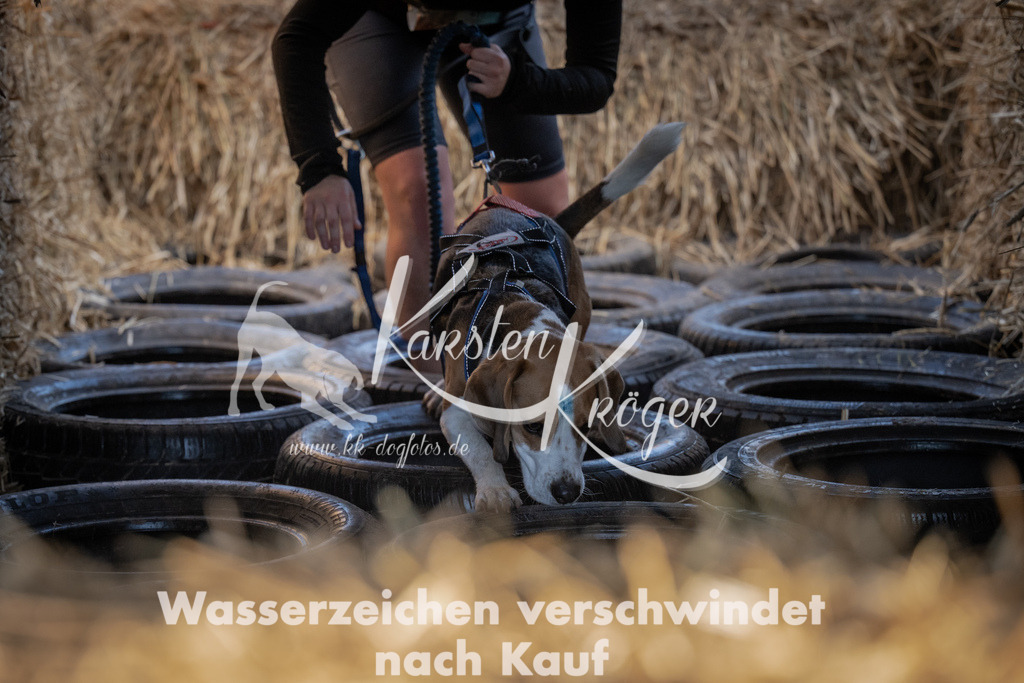 0944_ZZ94252 | kk-dogfotos