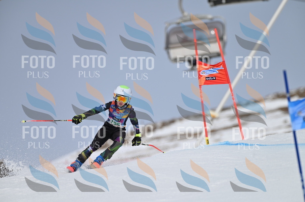 BGV_3737 | holidayphoto