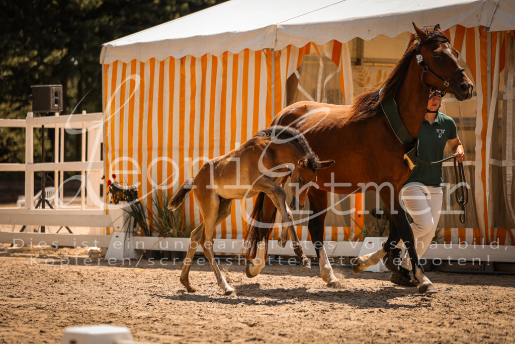 03.DoAB00082 | Leoni Ertmer Photography - Realisiert mit Pictrs.com