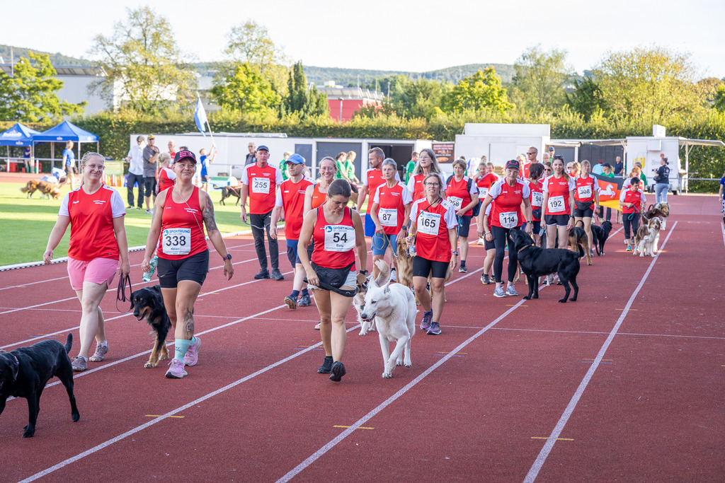 Pfotenfotografie_DV3A4328-2 | Hundefotografie, Tierfotograf, Pfotenfotografie, Fotoshooting Hund, Hunde Portrait, Hundesport, Hundeportraits, Heideshooting, Hunde, Sportfotograf, Hundefotograf, Turnierhundsport, THS,  - Realisiert mit Pictrs.com