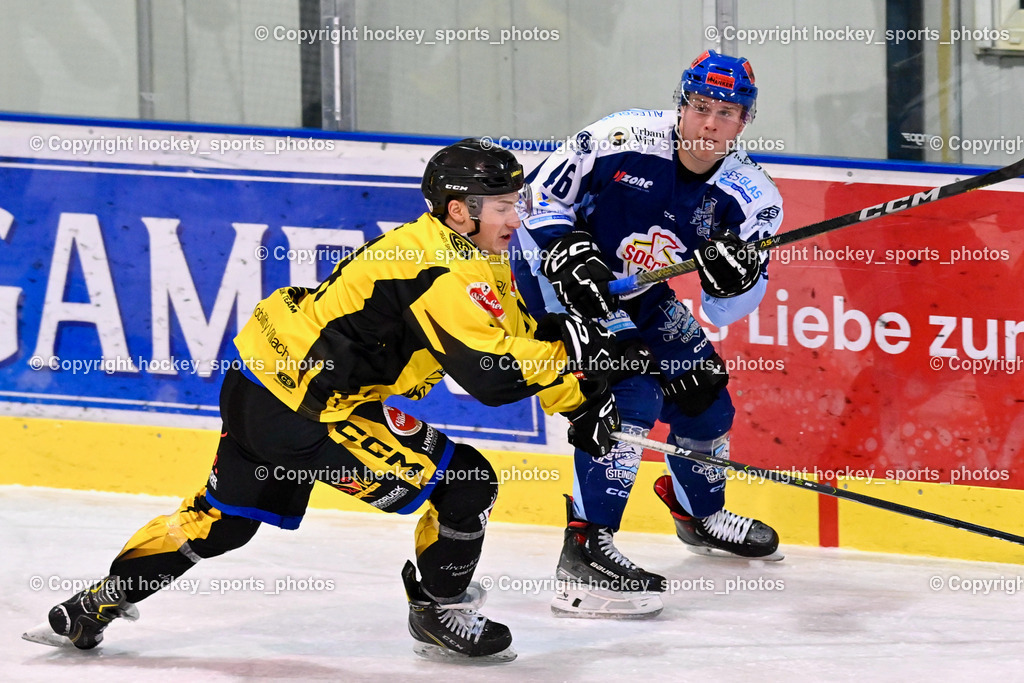 ESC Steindorf vs. EC Hornets Spittal 25.2.2024 | #81 Sivec Peter Paul EC Hornets Spittal, #46 Maurer Julian ESC Steindorf, ESC Steindorf vs. EC Hornets Spittal 25.2.2024, ESC Steindorf vs. EC Hornets Spittal 25.2.2024 am 25.02.2024 in Steindorf (Ossiachersee Halle), Austria, (Photo by Bernd Stefan)