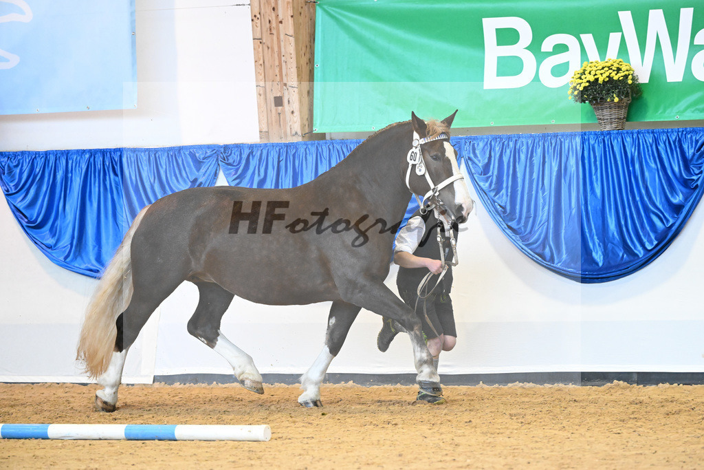 Kat-Nr. 60 Svenja_Holl_53220180 | hf-fotografie - Realisiert mit Pictrs.com