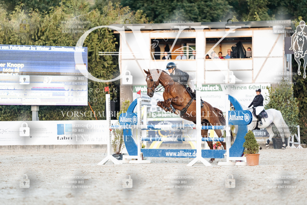CK901489 | Turnierfotografie Pferdefotografie Trier Rheinland-Pfalz Pferdesport Reitsport Tierfotografie Sportfotografie Pferdevideo Pferdevideografie Equestrianvideography equestrianphotography  - Realisiert mit Pictrs.com