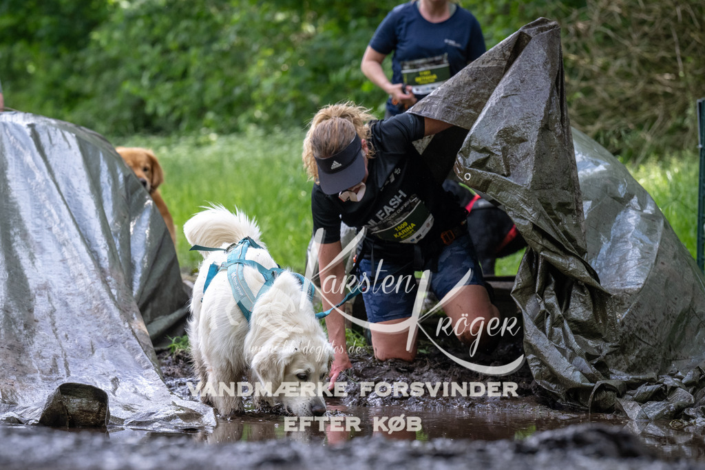 1241_ZZ93100 | kk-dogfotos