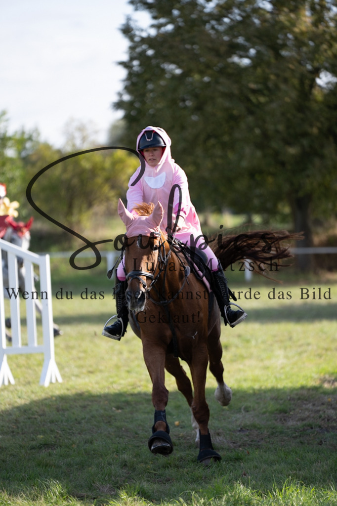 A7V06609 | Pferdefotograf