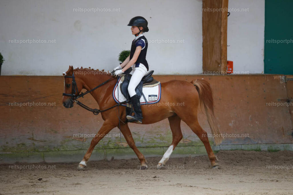 JHE_3392 | JoYa Fotografie - Realisiert mit Pictrs.com