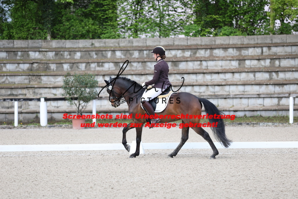 A40A0015 | lmwpictures - Realisiert mit Pictrs.com