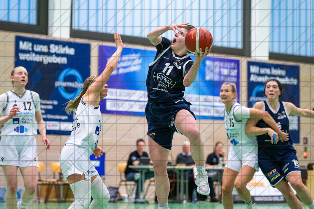 2. DBBL Nord 25/26 | Spieltag 16 | BBC Osnabrück vs. New Baskets Oberhausen | 18.01.26: 2. DBBL Nord 25/26 | Spieltag 15 | BBC Osnabrück vs. New Baskets Oberhausen / Osnabrück / Deutschland  //   CREDIT:www.bullenfotos.de, Martin König, Hörner Weg 40, D-49078 Osnabrück, +4917663732967 // Nutzung und Weitergabe nur zu den vereinbarten Zwecken. Presseanfragen an Ersteller. Alle Rechte beim Ersteller. Honorierung nach MFM. - Realisiert mit Pictrs.com