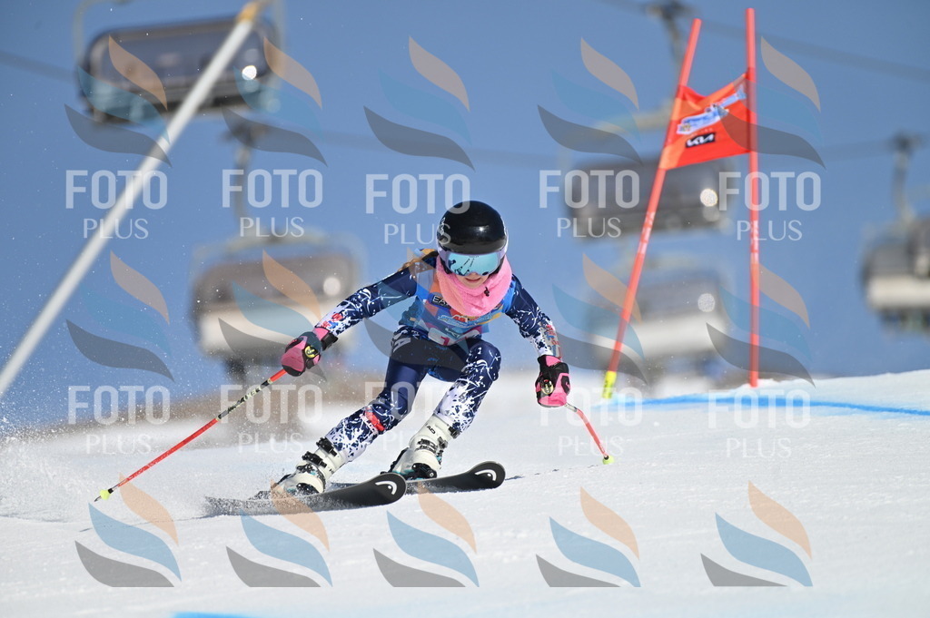 BGV_7894 | holidayphoto