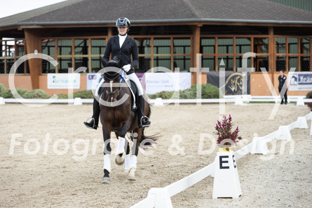 IMG_7319 | Creatify Fotografie