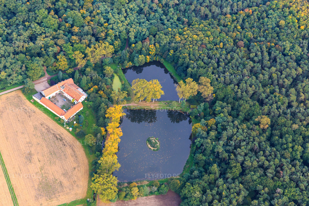 Luftbild: Lachenmühle am Waldrand mit Mühlseeen im Ortsteil Niederlustadt in Lustadt im Bundesland Rheinland-Pfalz in Deutschland. Foto: IMG_103861.jpg vom 01.10.2017 durch Werner Riehm/FLY-FOTO.de