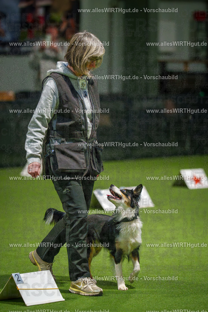 7R508977 | Professionelle Tierfotografie in Mönchengladbach von Daniel Wirth (allesWIRTHgut). Liebevolle & natürliche Bilder von Hunden & Katzen für unvergessliche Erinnerungen.