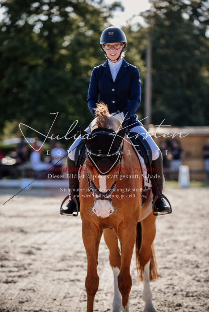 DSC_0496 | Pferde- und Turnierfotografie in Westsachsen. Pferdeportraits, Auftragszeichnungen und intuitive Kunst.