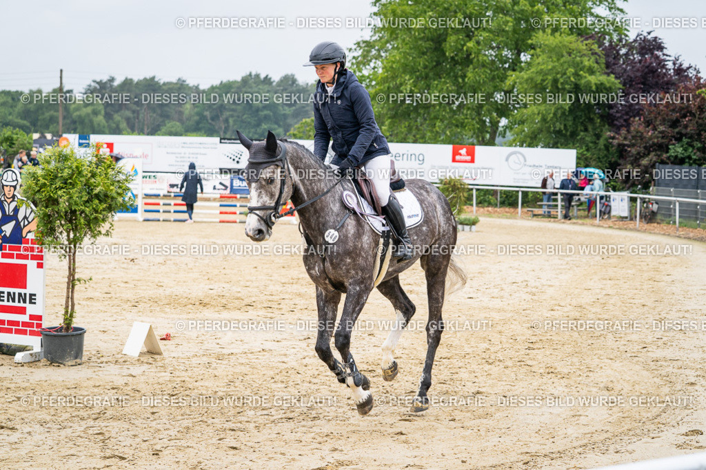 DSC01082 | Pferdegrafie