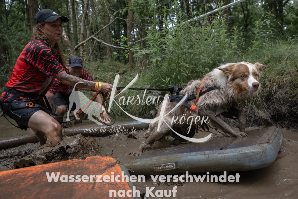 1327_ZZ94115 | kk-dogfotos