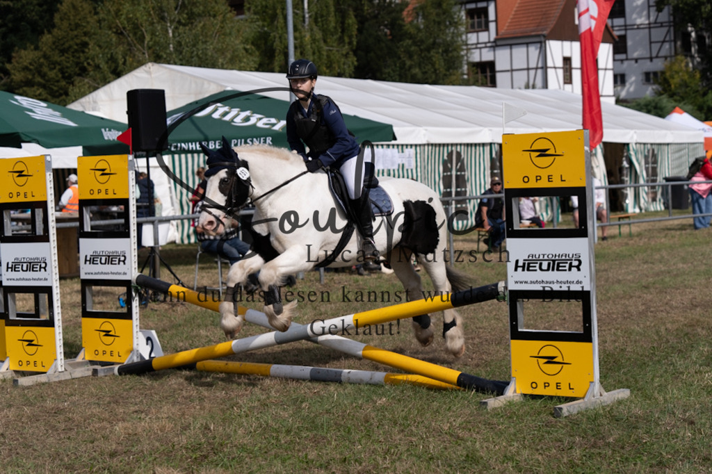 A7V08549 | Pferdefotograf