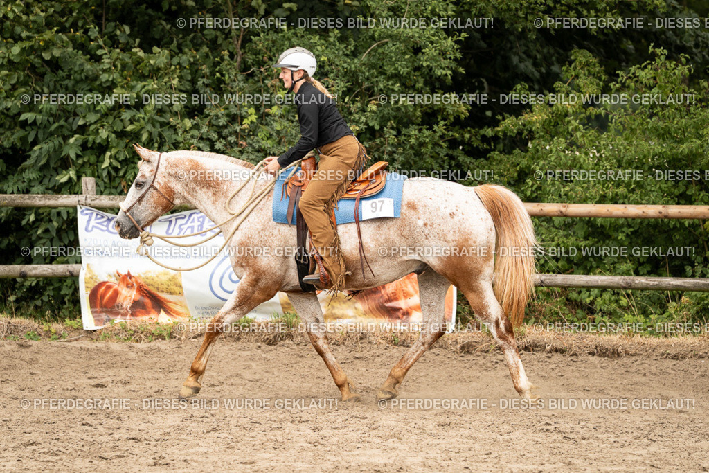 DSC01013 | Pferdegrafie