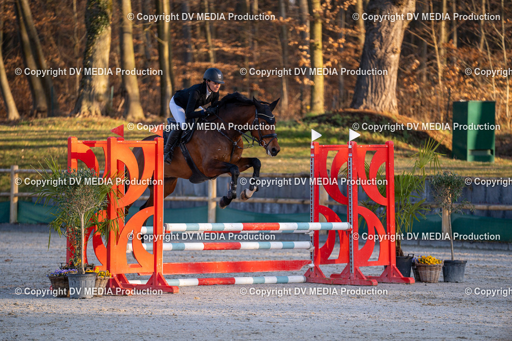 DSC-232 | dv-media-shop - Realisiert mit Pictrs.com